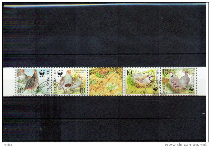 Jugoslawien / Yugoslavia / Yougoslavie 2000 WWF Birds  Michel 2966-2969  Sauber Gestempelt / Fine Used - Used Stamps