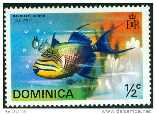 DOMINICA, REPUBLIC IN BRITISH COMMONWEALTH, FAUNA, PESCI, FISH, 1975,  NUOVO (MLH*), Scott 421 - Dominique (...-1978)
