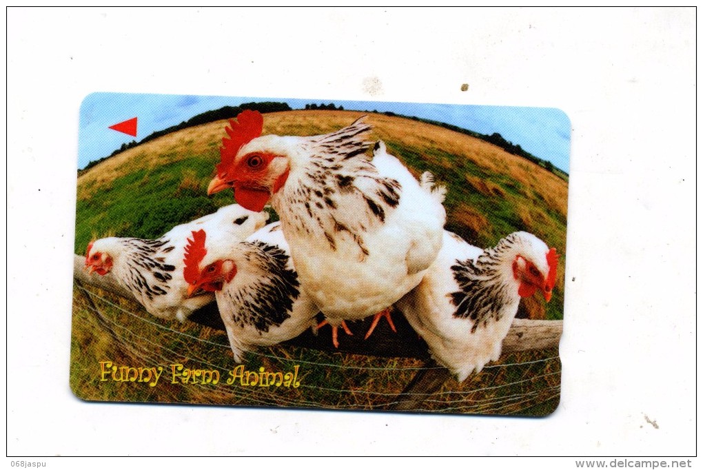 Carte Theme Poule Coq - Hühnervögel & Fasanen