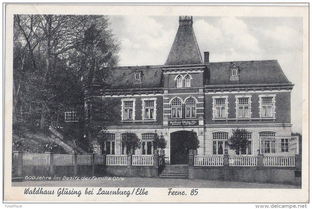 LAUENBURG Elbe Waldhaus Glüsing 600 Jahre Im Besitz Familie Ohle 3.6.1939 Gelaufen - Lauenburg