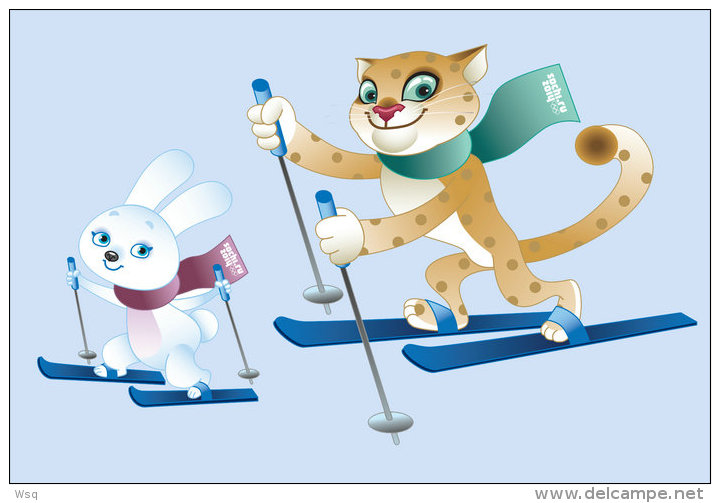 [N53-055  ]   2014 Sochi Winter Olympic Games ,  Postal Stationery-Postsache F - Winter 2014: Sochi