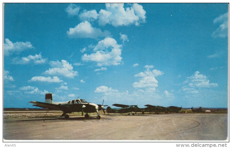 Ft. Hood Texas Airstrip, Group Of Small Planes Parked At Airport, C1950s Vintage Postcard - Aerodrome