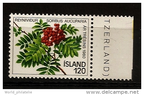 Islande Island 1980 N° 507 ** Année De L'arbre, Sorbus Aucuparia, Grappe, Branche, Sorbier, Alisiers, Plante, Fruit - Nuevos