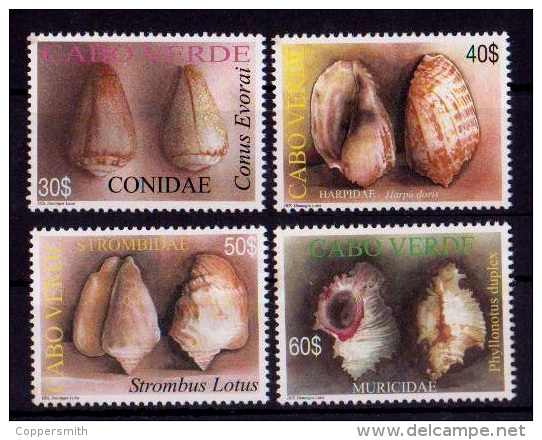 (016) Cape Verde  Shells / Coquillages / Muscheln   ** / Mnh  Michel 872-75 - Cape Verde