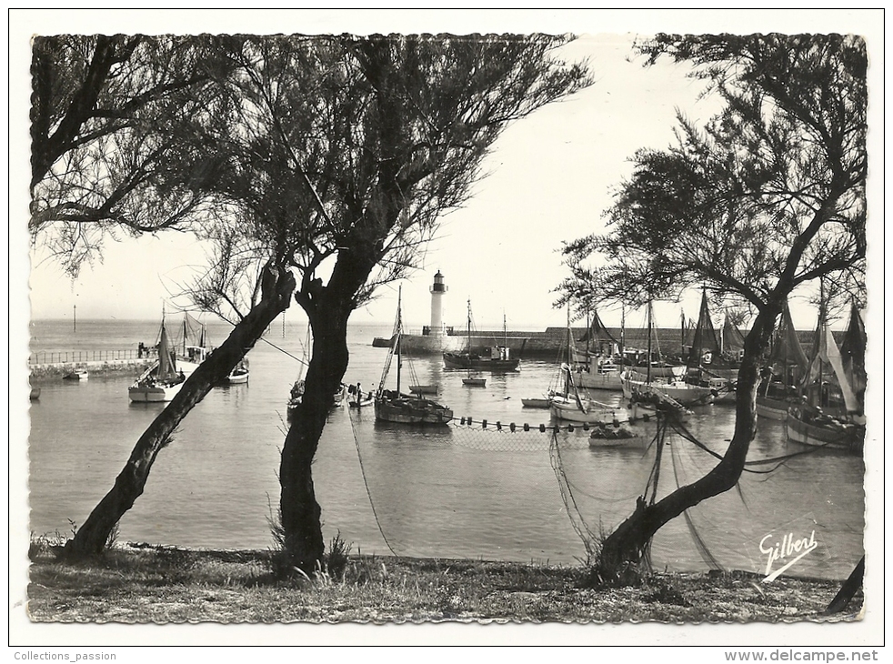 Cp, 17,Ile D´Oléron, Le Port De La Cotinière, écrite - Ile D'Oléron