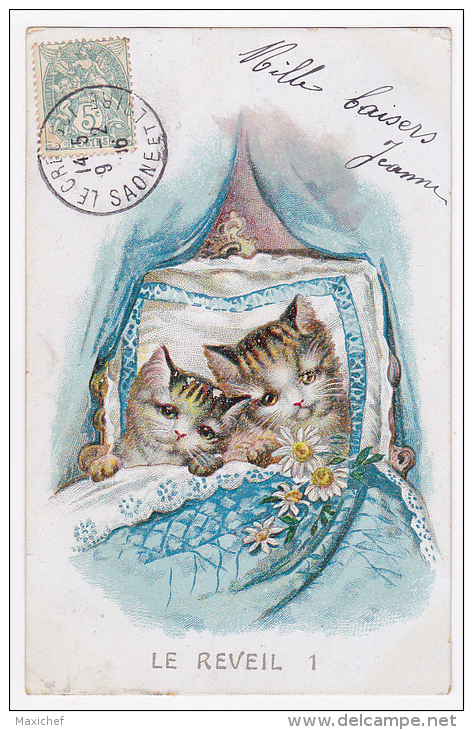 Carte Illustrée - Chats Humanisés "Le Réveil" Au Berceau - Circulé 1906 - Dressed Animals