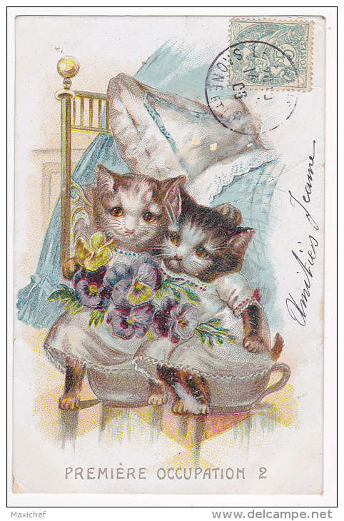 Carte Illustrée - Chats Humanisés "Première Occupations" Le Pot De Chambre - Circulé 1906 - Dressed Animals