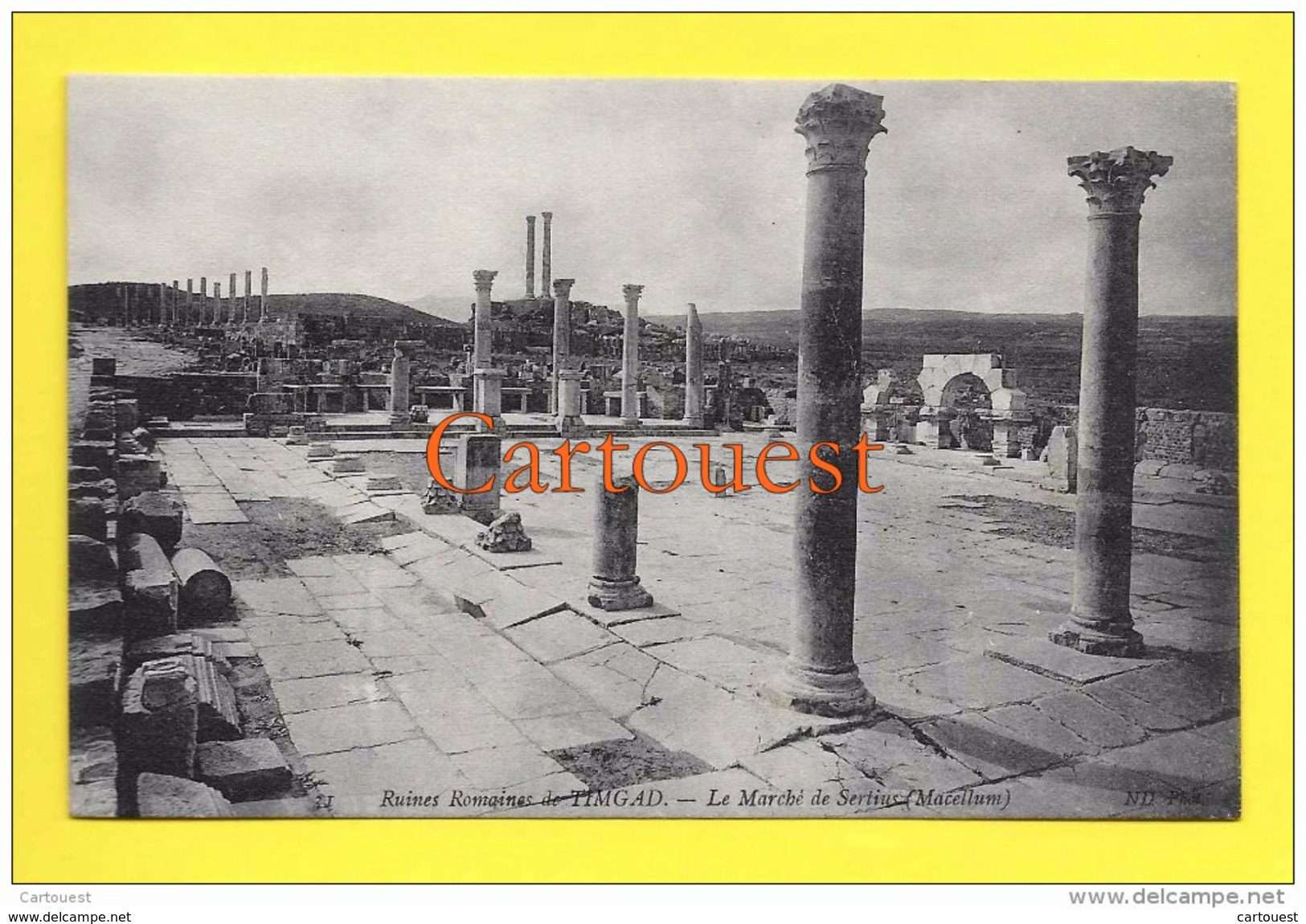 Algérie (Batna) TIMGAD - Ruines Romaines Le Marché De Sertius  TOP - Batna