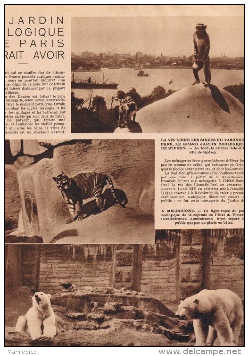 1931 SCIENCE & MONDE N°6-16 Pages.Nouveau Scaphandre-Photogravure-Scarabées Monstres-Zoos Du Monde Etc... 5 Scans - 1900 - 1949