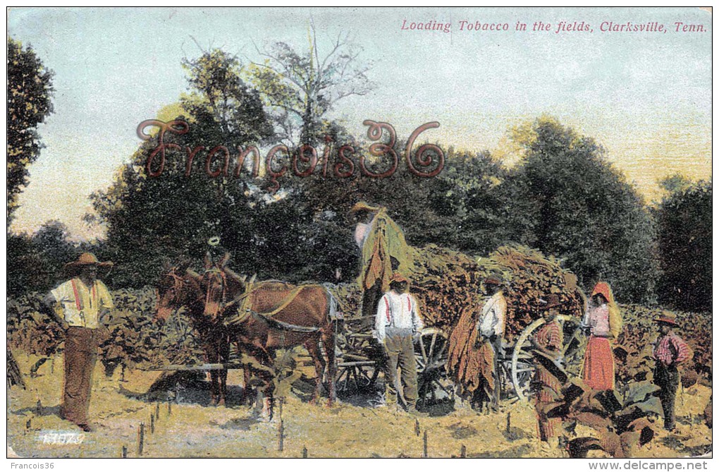 Loading Tabacco In The Fields - Clarksville - 2 SCANS - Clarksville