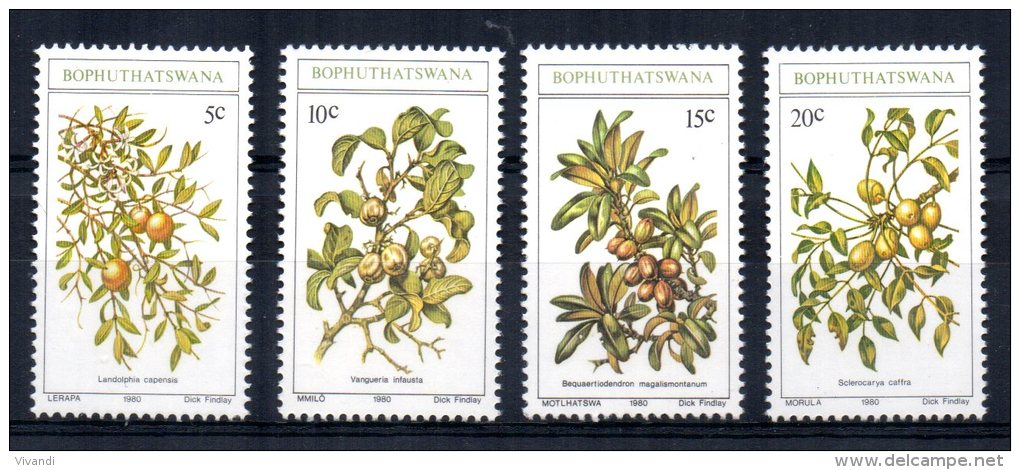 Bophuthatswana - 1980 - Edible Wild Fruits - MNH - Bophuthatswana