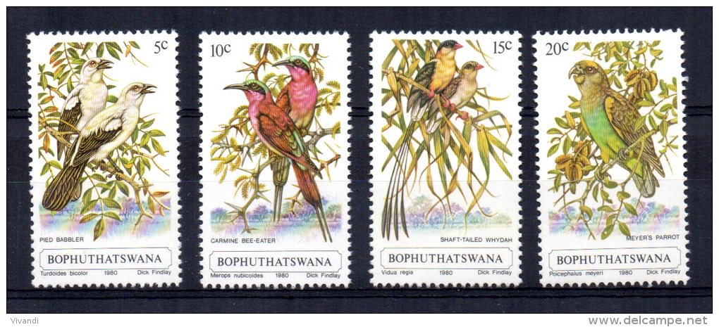 Bophuthatswana - 1980 - Birds - MNH - Bophuthatswana