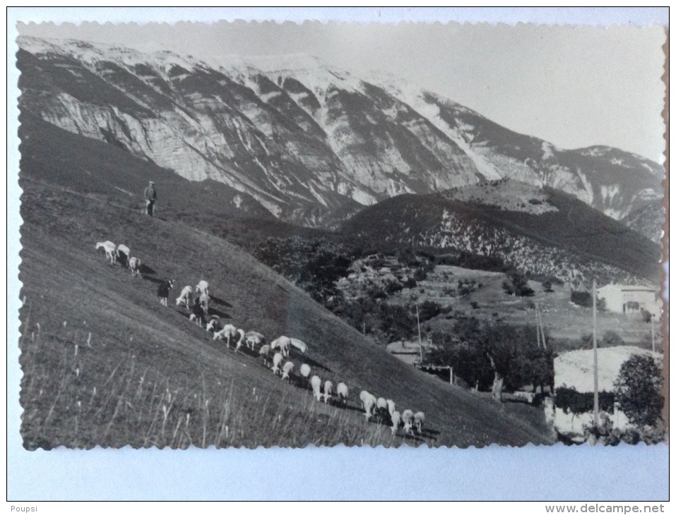 SAVOILLANS ET LE MONT VENTOUX - Autres & Non Classés