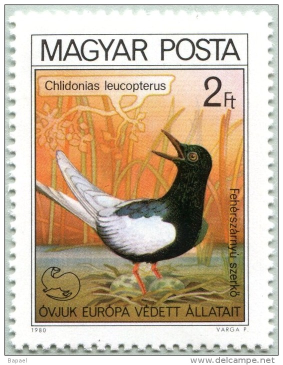 N° Yvert 2739 - Timbre De Hongrie (1980) - MNH - Chlidonias Leucopterus (JS) - Ungebraucht