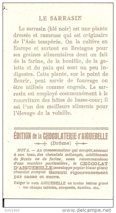 CHOCOLAT  D AIGUEBELLE .   LES BONS GRAINS  . LE SARRAZIN  . - Publicité