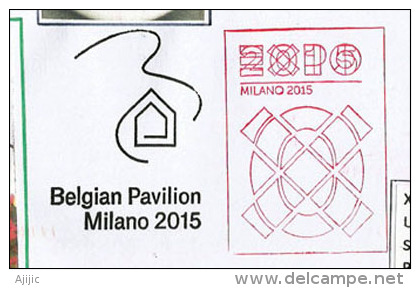 BELGIQUE. EXPO MILAN 2015 "NOURRIR LA PLANÊTE", Belle Lettre Postée Du Pavillon Belge Et Adressée En Andorre, - 2015 – Milan (Italie)