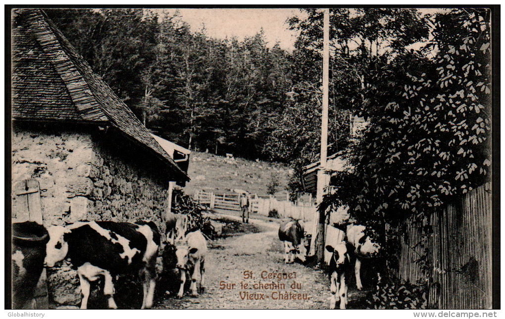 DB5433 - ST. CERGUÉ - SUR LE CHEMIN DU VIEUX CHÂTEAU - Saint-Cergue