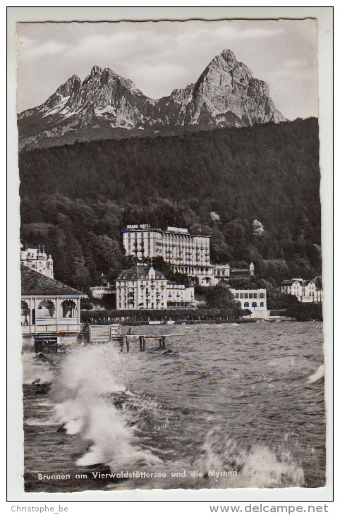 Brunnen Am Vierwaldstättersee Und Die Mythen (pk25299) - Wald