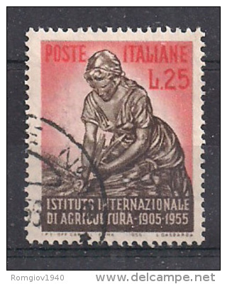 ITALIA 1955 ISTITUTO AGRICOLTURA SASS. 786 USATO VF - 1946-60: Usados