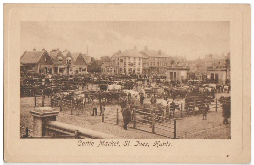 PC U.K. ST IVES Cattle Market Hunts Embossed - Huntingdonshire