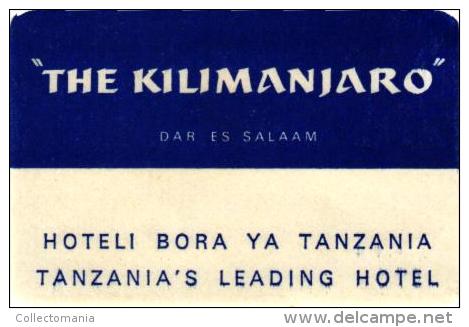 13 HOTEL Labels RHODESIA  RUANDA TANZANIA TANGANYIKA - Hotelaufkleber