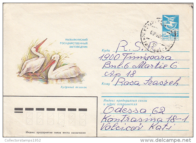 29870- BIRDS, PELICANS, COVER STATIONERY, 1984, RUSSIA - Pélicans