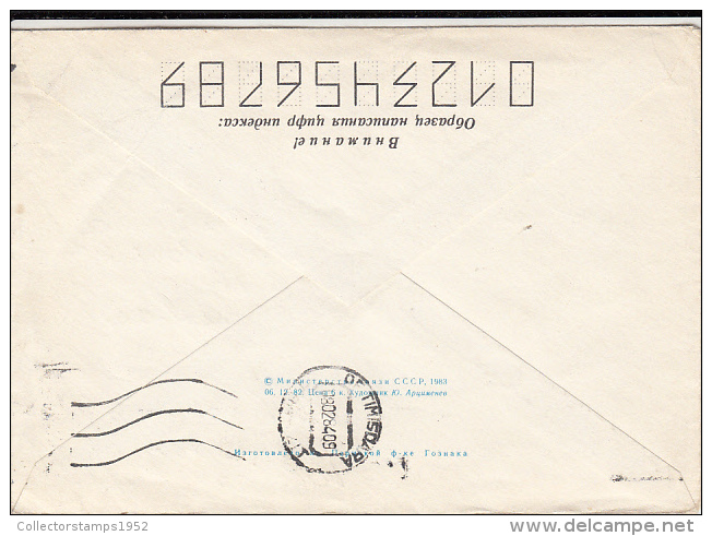 29870- BIRDS, PELICANS, COVER STATIONERY, 1984, RUSSIA - Pélicans