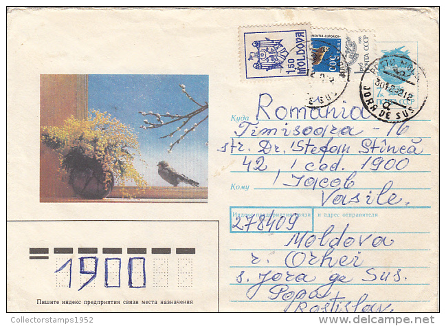 29871- BIRDS, SPARROW, COVER STATIONERY, MOLDAVIAN STAMPS, 1992, RUSSIA - Moineaux