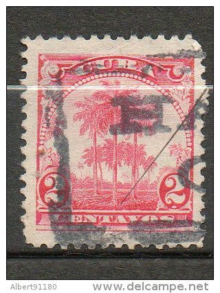 CUBA Palmier Royal 1899-02 N°143 - Usati