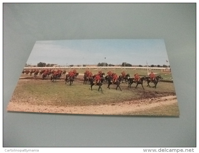 Royal Canadian Mounted Police Musical Ride - Polizia – Gendarmeria