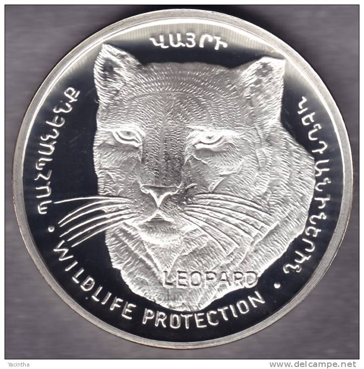 @Y@   Nagorno Karabakh  1000 Dram 2004 Silver Coin. Rare Wildlife Coin Leopard  Proof - Nagorno-Karabakh