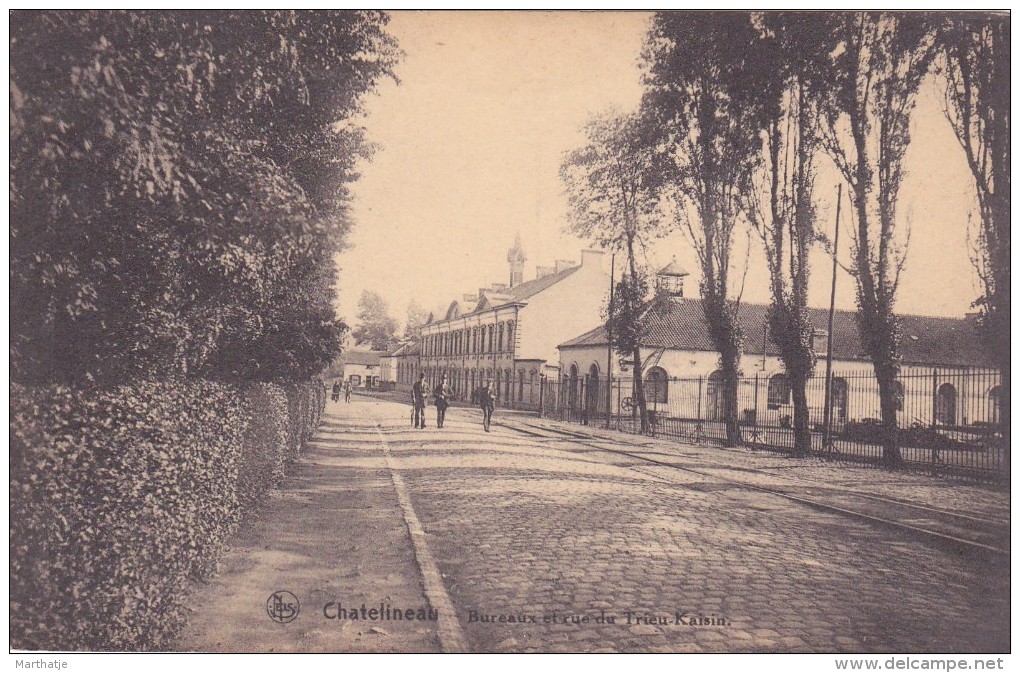 Chatelineau - Bureaux Et Rue Du Trieu-Kaisin - Châtelet