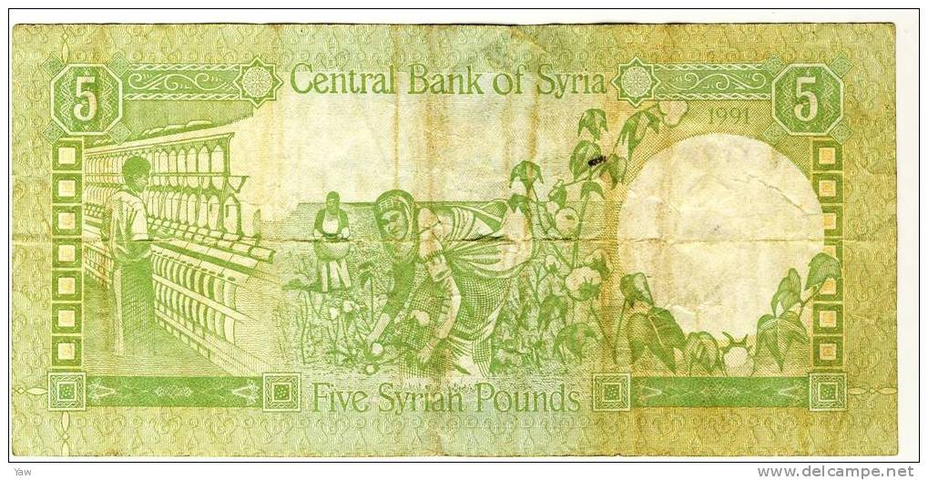 BANCONOTE 5 POUNDS 1991 - Syrie