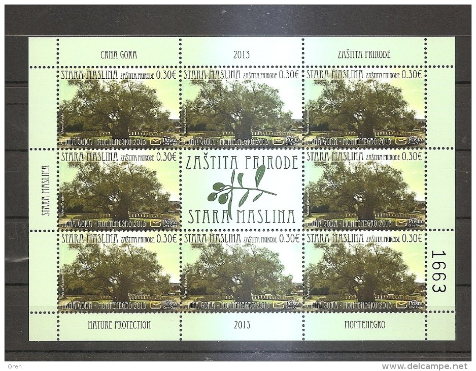 MONTENEGRO  2013, TREES,NATUR PROTETCION,OLIVE TREE,MNH,SHEET - Trees