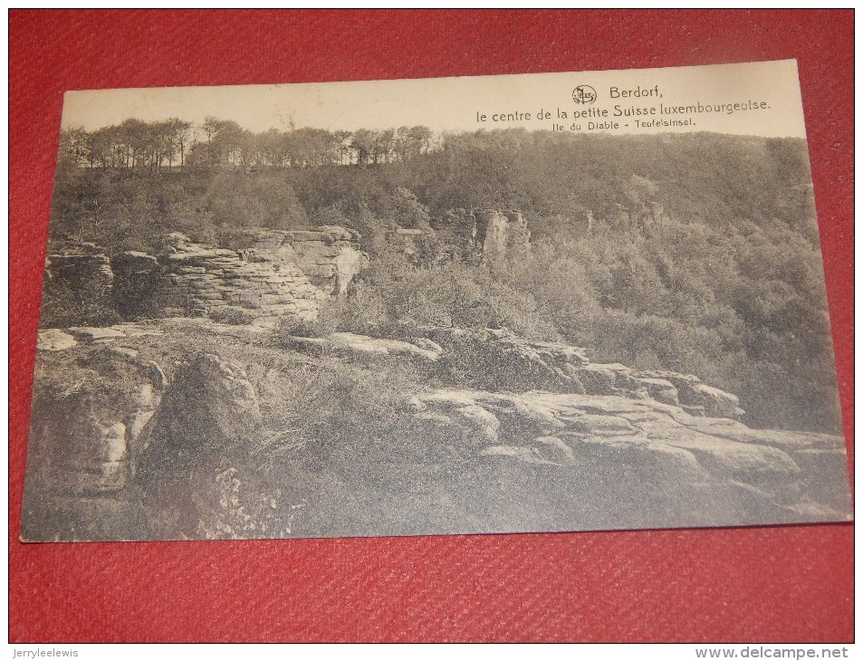 BERDORF  -  Le Centre De La Petite Suisse Luxembourgeoise - Île Du Diable -  Teufel Sinsel  -  1924 - Berdorf