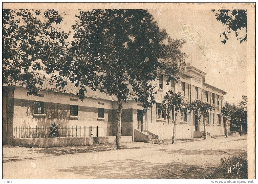 Lavit - De - Lomagne   ( 82 )  Groupe  Scolaire .  Avenue  De  Beaumont . - Lavit