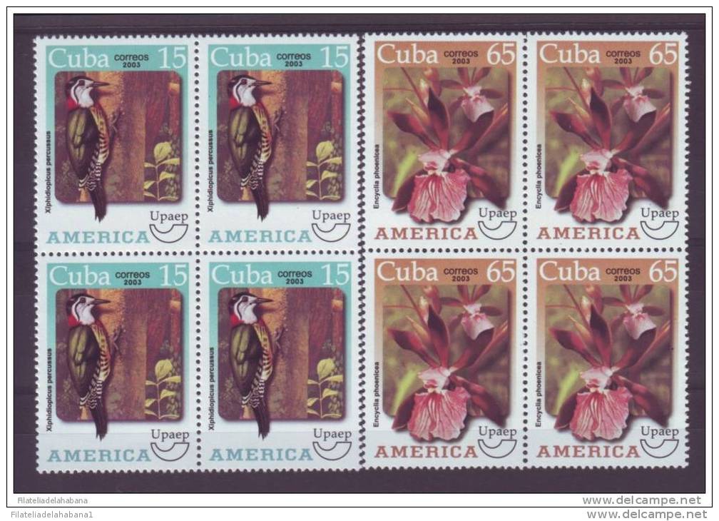 2003.107 CUBA 2003  AMERICA UPAEP ORCHILD ORQUIDEA FLOWER FLORES BIRD PAJARO CARPINTERO. MNH SET BLOCK 4 - Unused Stamps