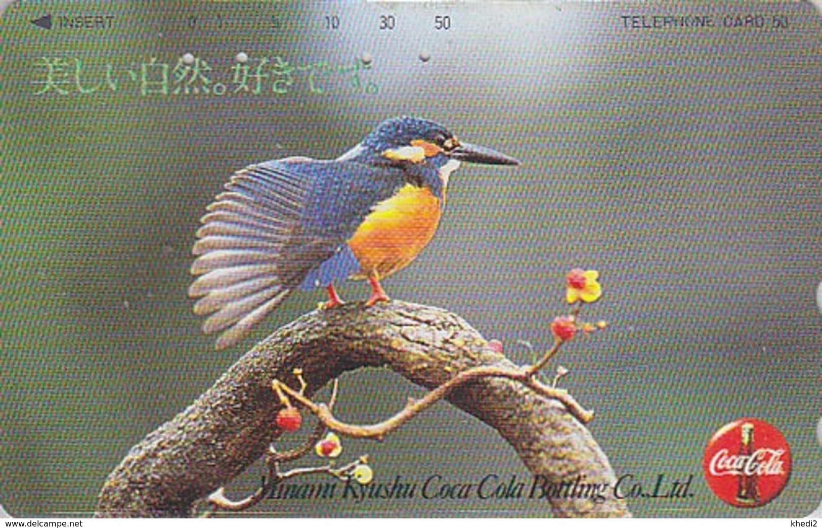 TC JAPON / 390-14078 - OISEAU - MARTIN PECHEUR / COCA COLA - KINGFISHER Bird JAPAN Free Phonecard - EISVOGEL - 4034 - Sonstige & Ohne Zuordnung