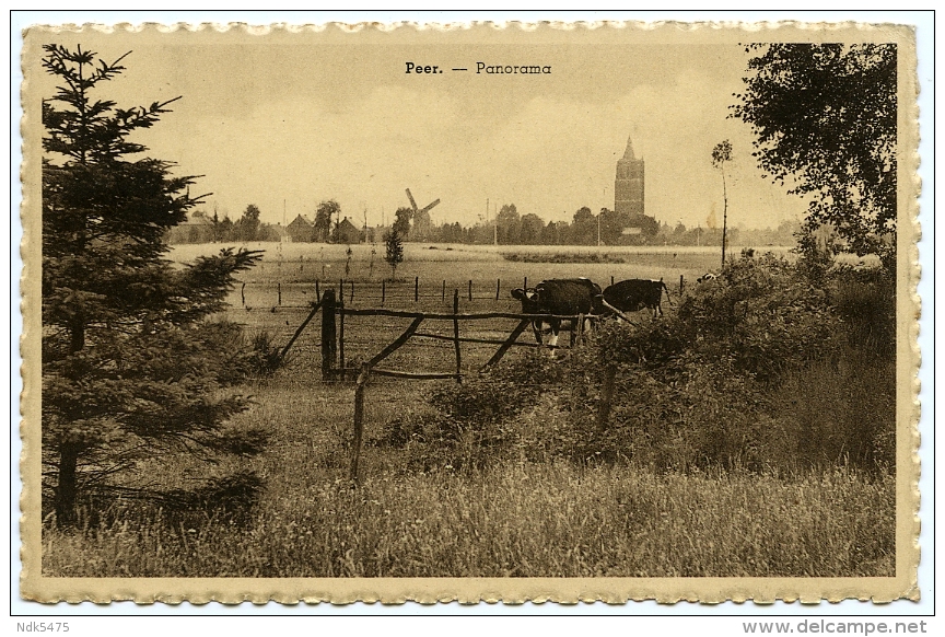 BELGIQUE : PEER - PANORAMA - Peer