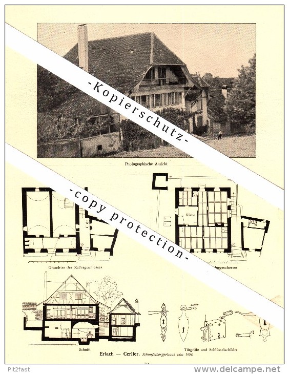 Photographien / Ansichten ,1917, Erlach - Cerlier , Prospekt , Fotos , Architektur !!! - Cerlier