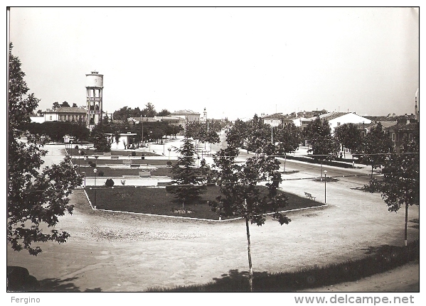 8591/A/FG/AL/15 - S. GIOVANNI LUPATOTO (VERONA) - Piazza Della Repubblica - Verona