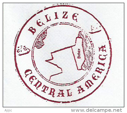 BELIZE. EXPO UNIVERSELLE MILANO 2015, Lettre Du Pavillon De Bélize ,adressée En Andorre, Avec Timbre à Date Arrivée - 2015 – Milan (Italy)