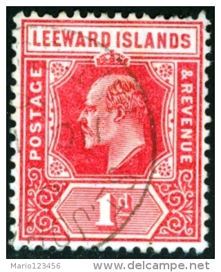 LEEWARD ISLAND, 1902, COLONIA INGLESE, BRITISH COLONY, COMMEMORATIVO, RE EDOARDO VII, USATO, Scott 21 - Leeward  Islands