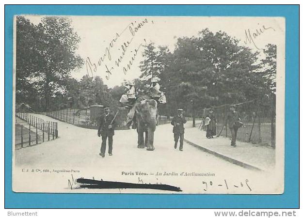 CPA - PARIS VECU - Aux Jardin D'acclimatation Promenade à Dos D'éléphant - Parks, Gardens