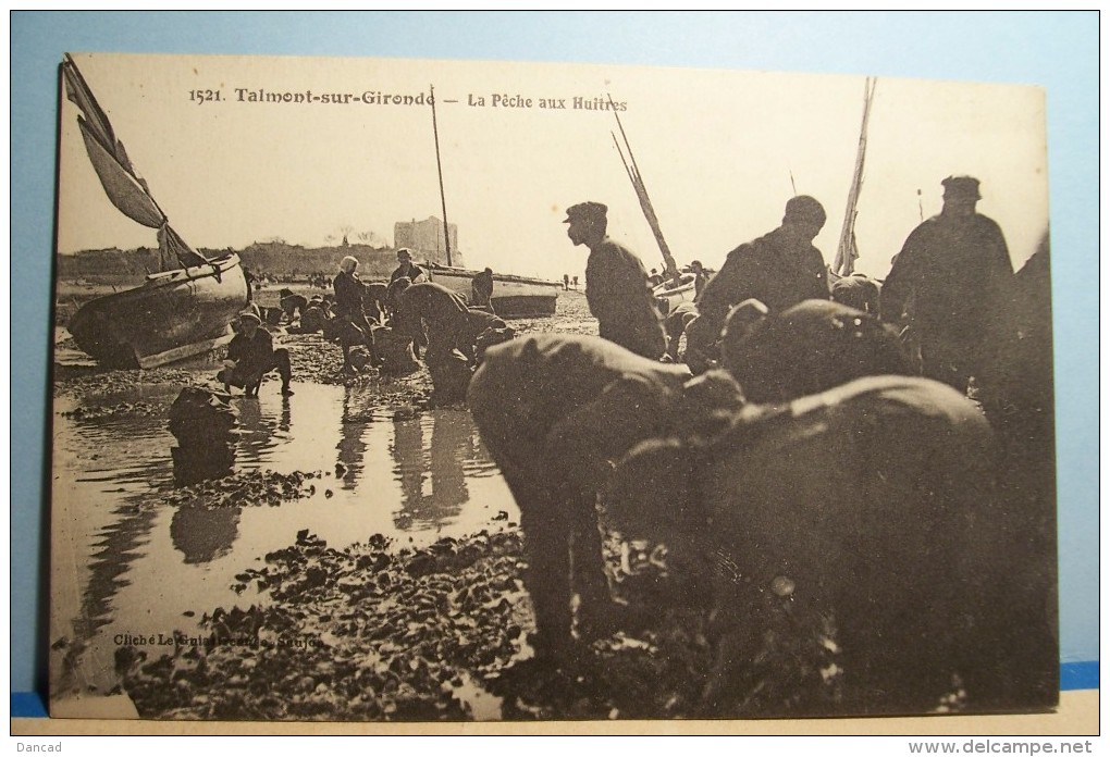 TALMONT -SUR - GIRONDE  ---La Peche Aux Huitres - Autres & Non Classés