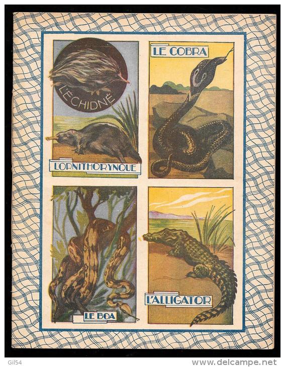 Cahier D'école Ancien Illustré   Année 1937   - L'echidné - L'ornithorinque - Le Cobra - Le Boa - L'alligator   VIFG0309 - Protège-cahiers