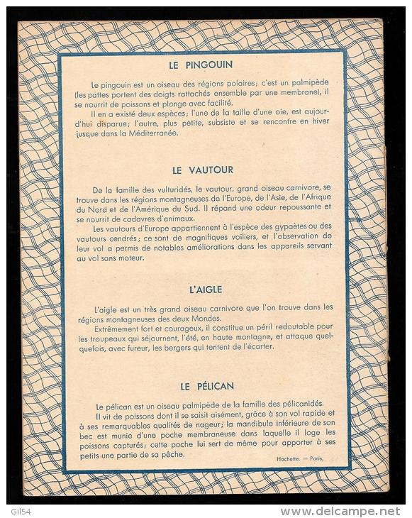Cahier D'école Ancien Iannée 1938  - Le Pingouin, Le Vautour, L'aigle, Le Pélican  VIFG0311 - Protège-cahiers