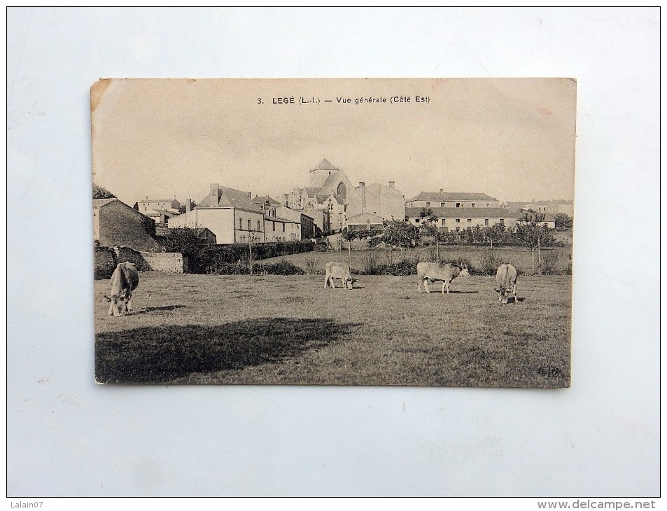 Carte Postale Ancienne : LEGE : Vue Générale, Coté Est, Vaches, En 1913 - Legé