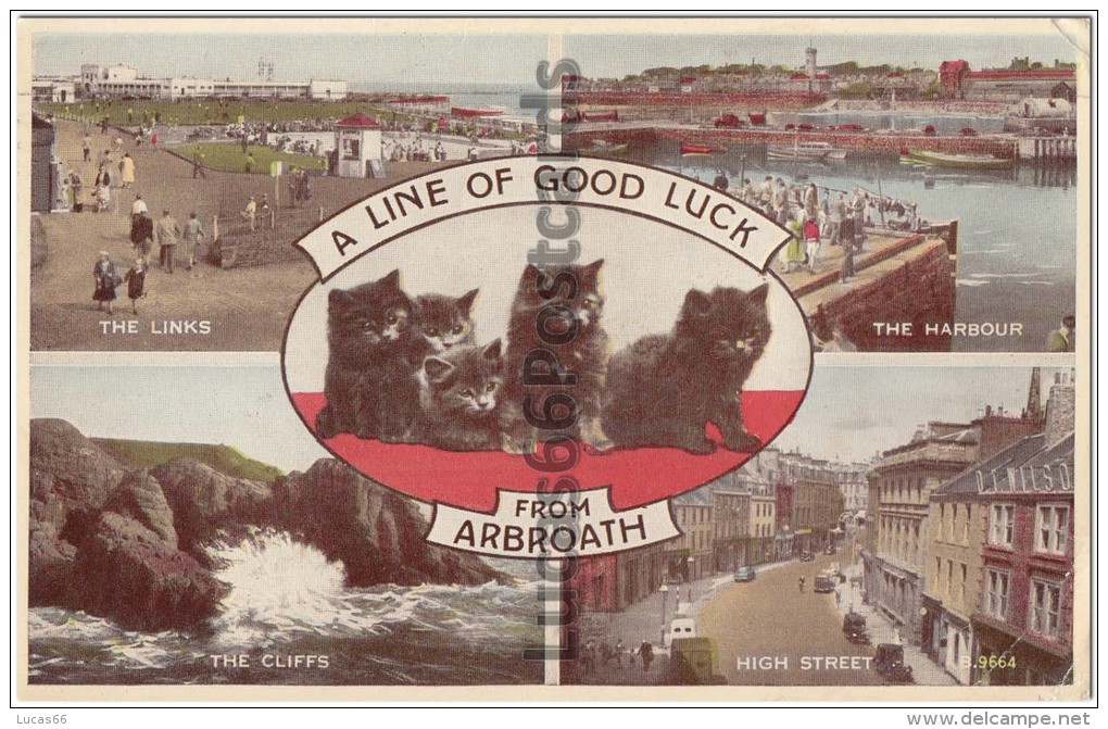 A Line Of Good Luck From Arbroath - Other & Unclassified