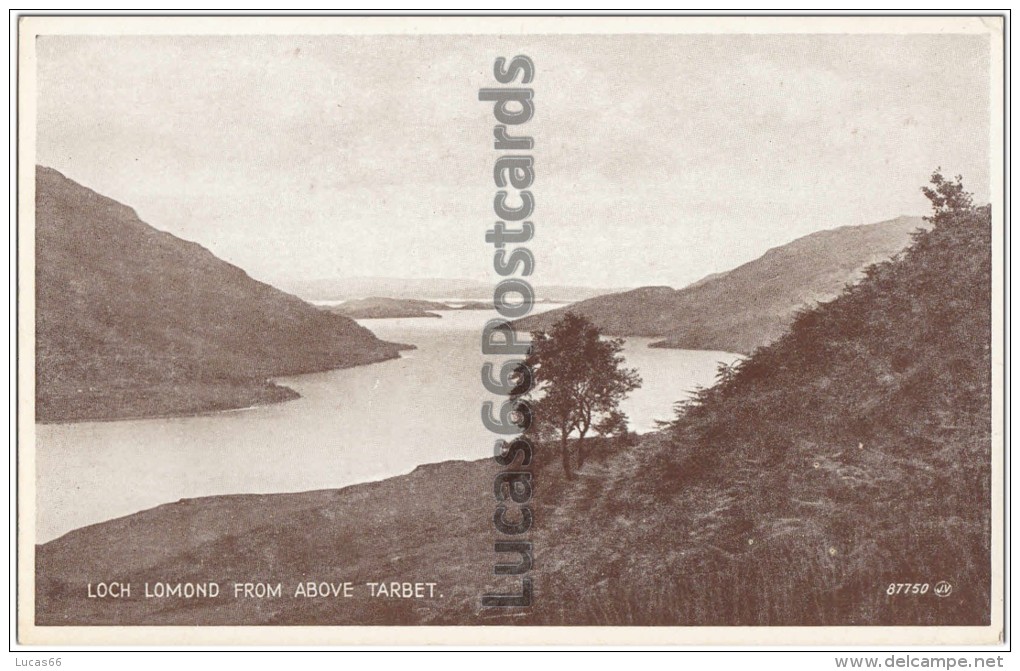 Loch Lomond From Above Tarbet - Other & Unclassified